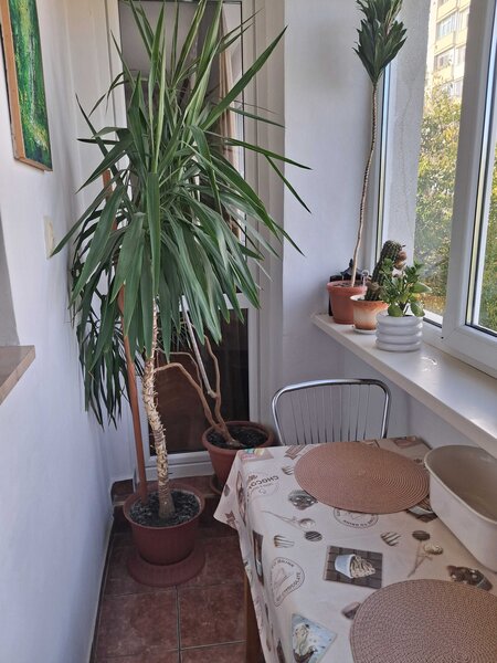 Basarabia, Campia Libertatii, Parc Ghe. Petrascu, Arena Nationala, ac, 2 tv